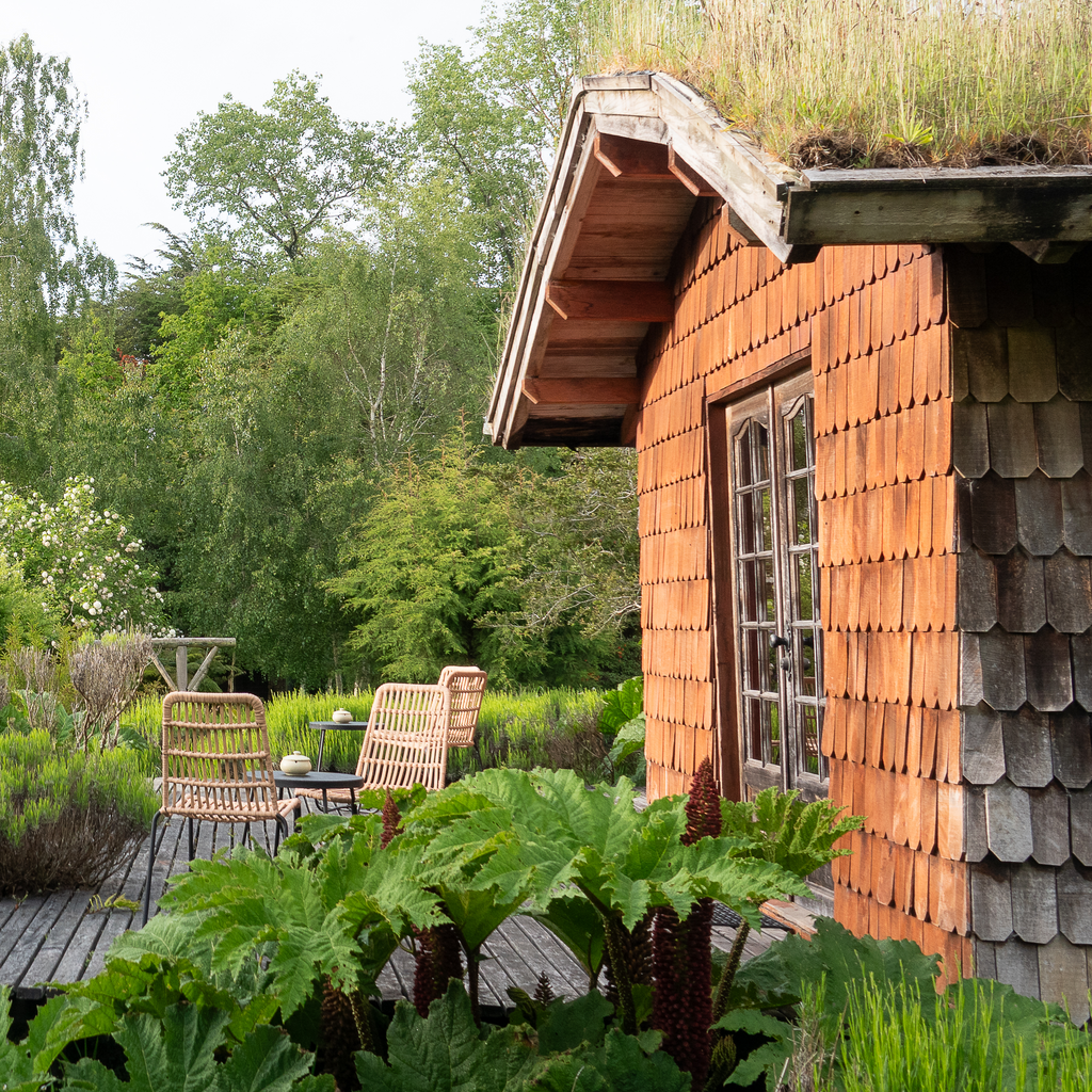 Family room - Yellow Shoe B&B, Puerto Octay