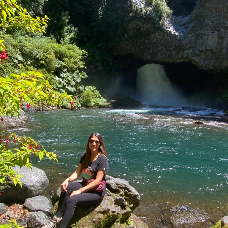 Tour 3 Saltos de Palguin - Pucón