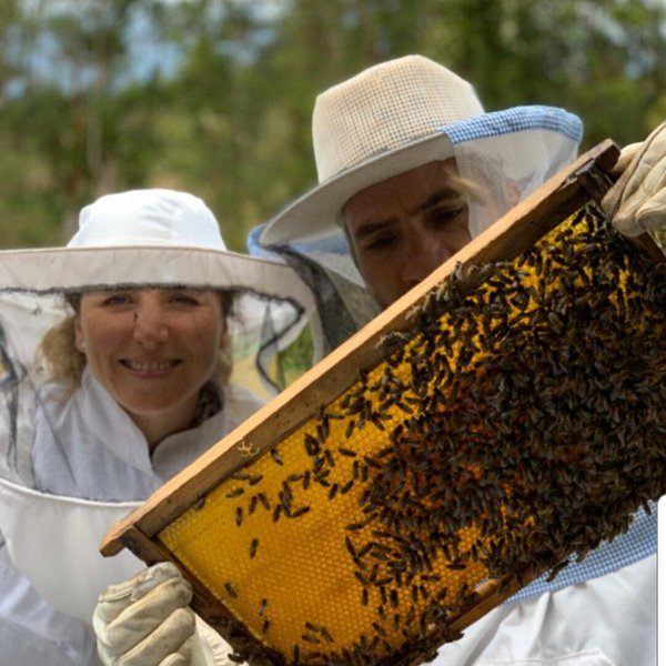 Conoce la vida de las Abejas - Apiario Raymapu