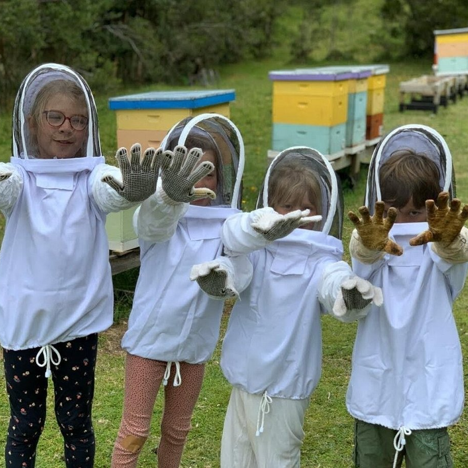 Conoce la vida de las Abejas - Apiario Raymapu