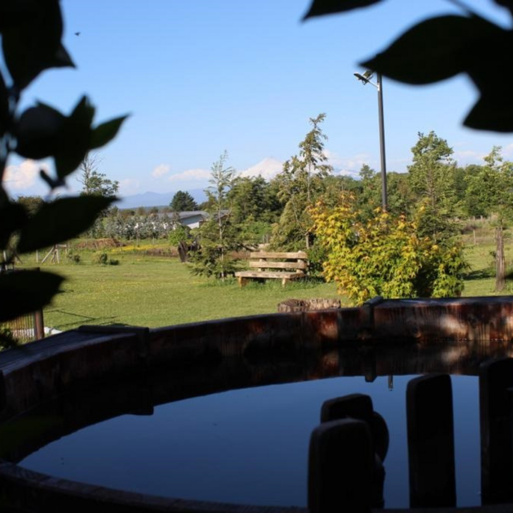 Cabaña La Comarca (5 personas) - Panguipulli