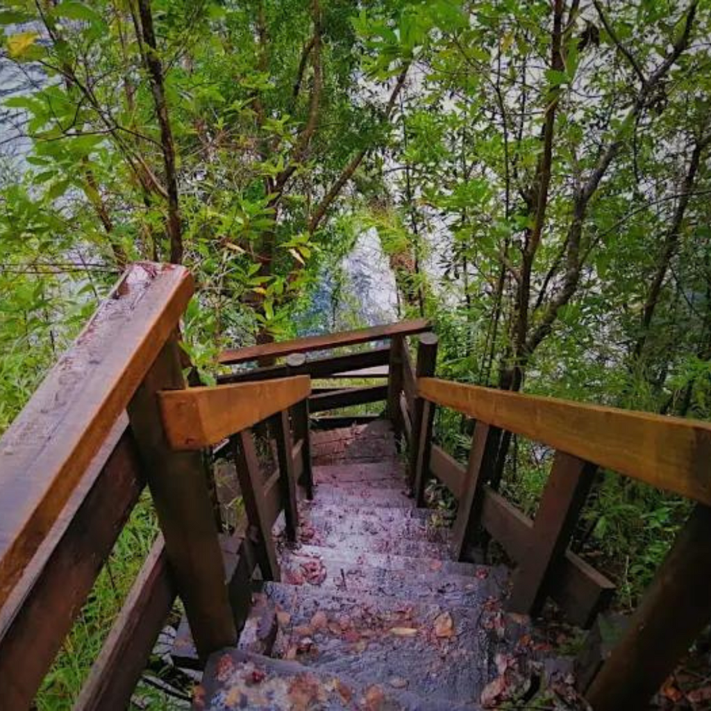 Cabañas Patagonia Mawida (4 personas) - Neltume