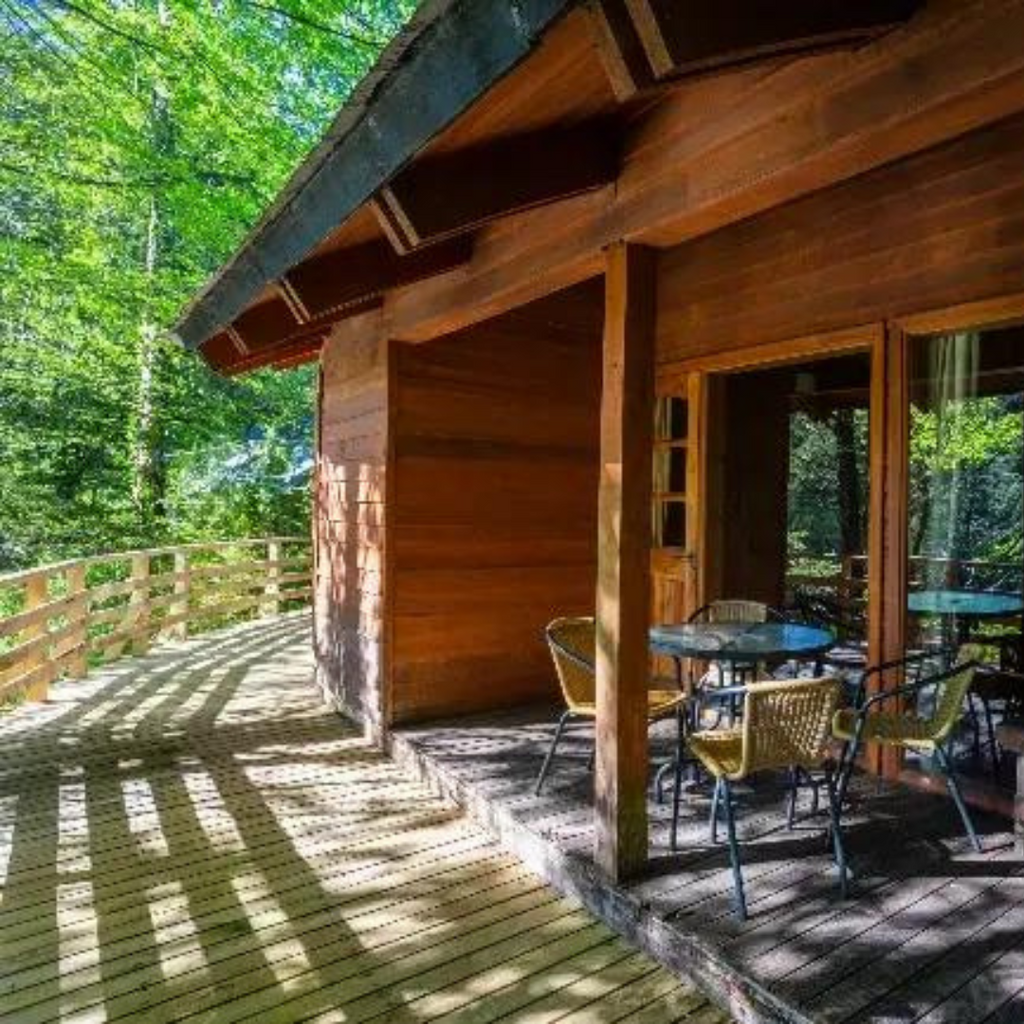 Cabañas Patagonia Mawida (4 personas) - Neltume