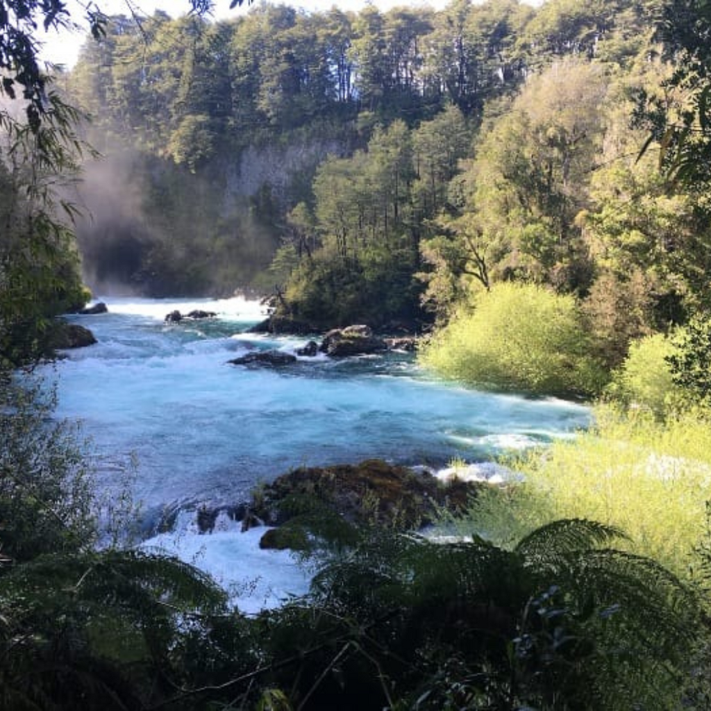 Cabañas Patagonia Mawida (4 personas) - Neltume