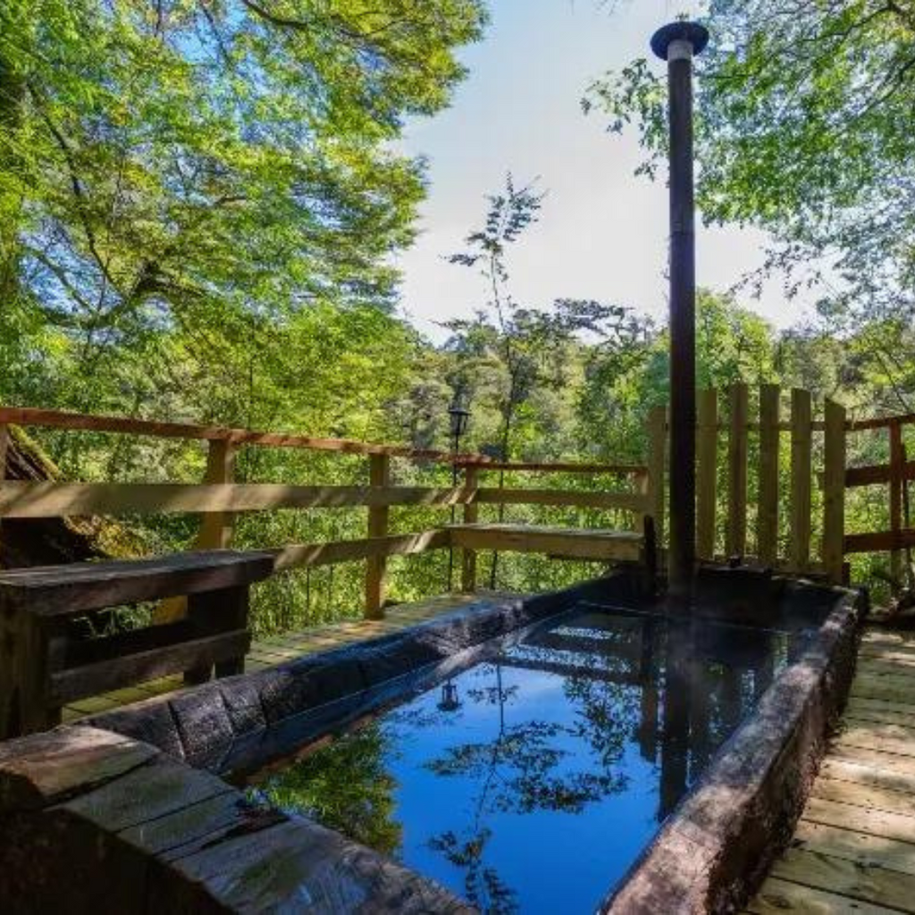 Cabañas Patagonia Mawida (4 personas) - Neltume