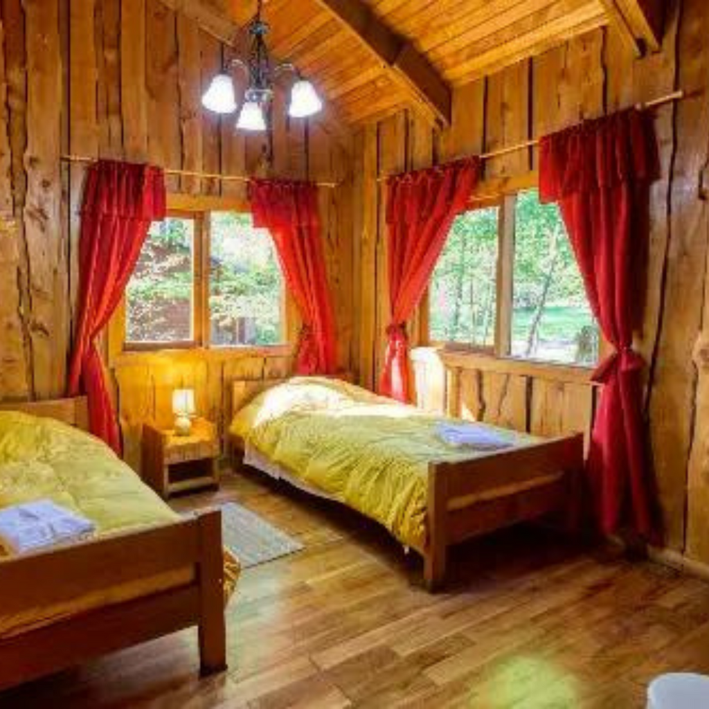 Cabañas Patagonia Mawida (4 personas) - Neltume