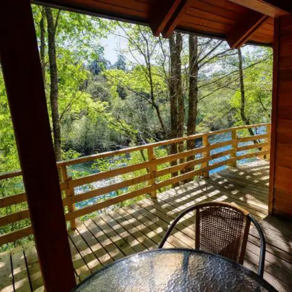 Cabañas Patagonia Mawida (4 personas) - Neltume