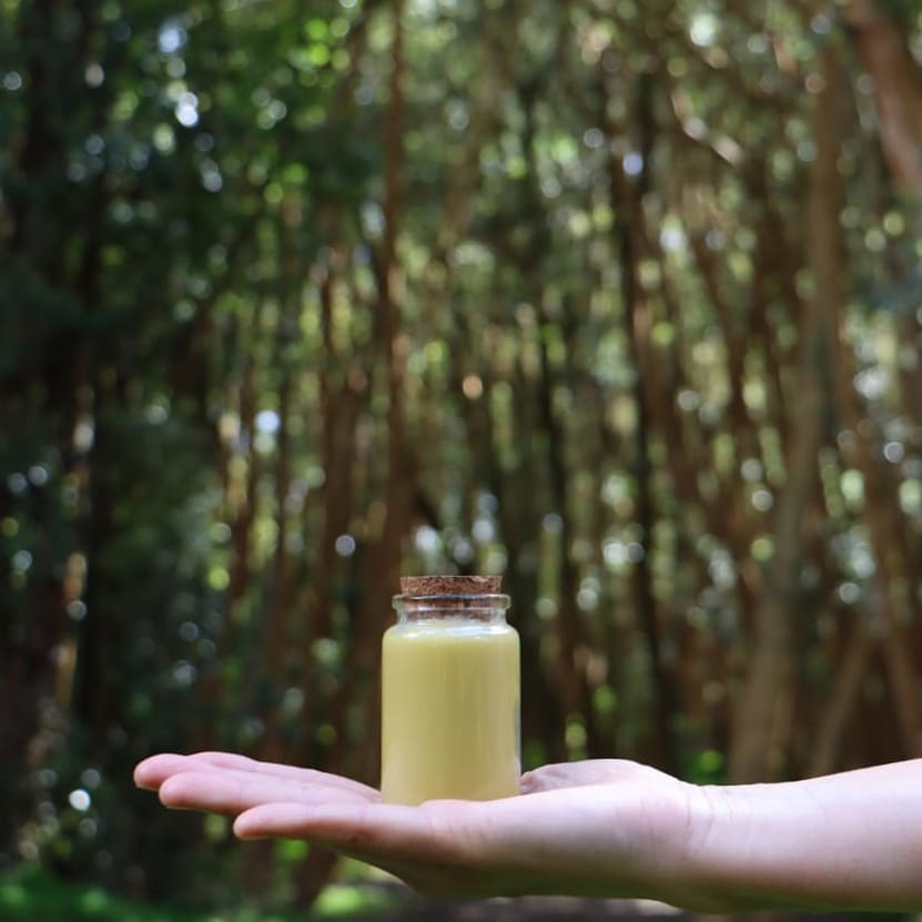 Biocosmética del bosque