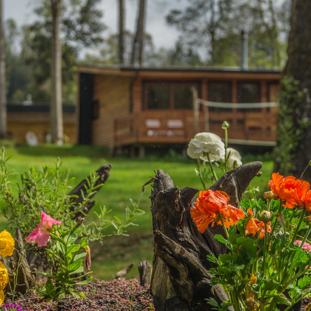 Excursión de Pesca - Puerto Octay