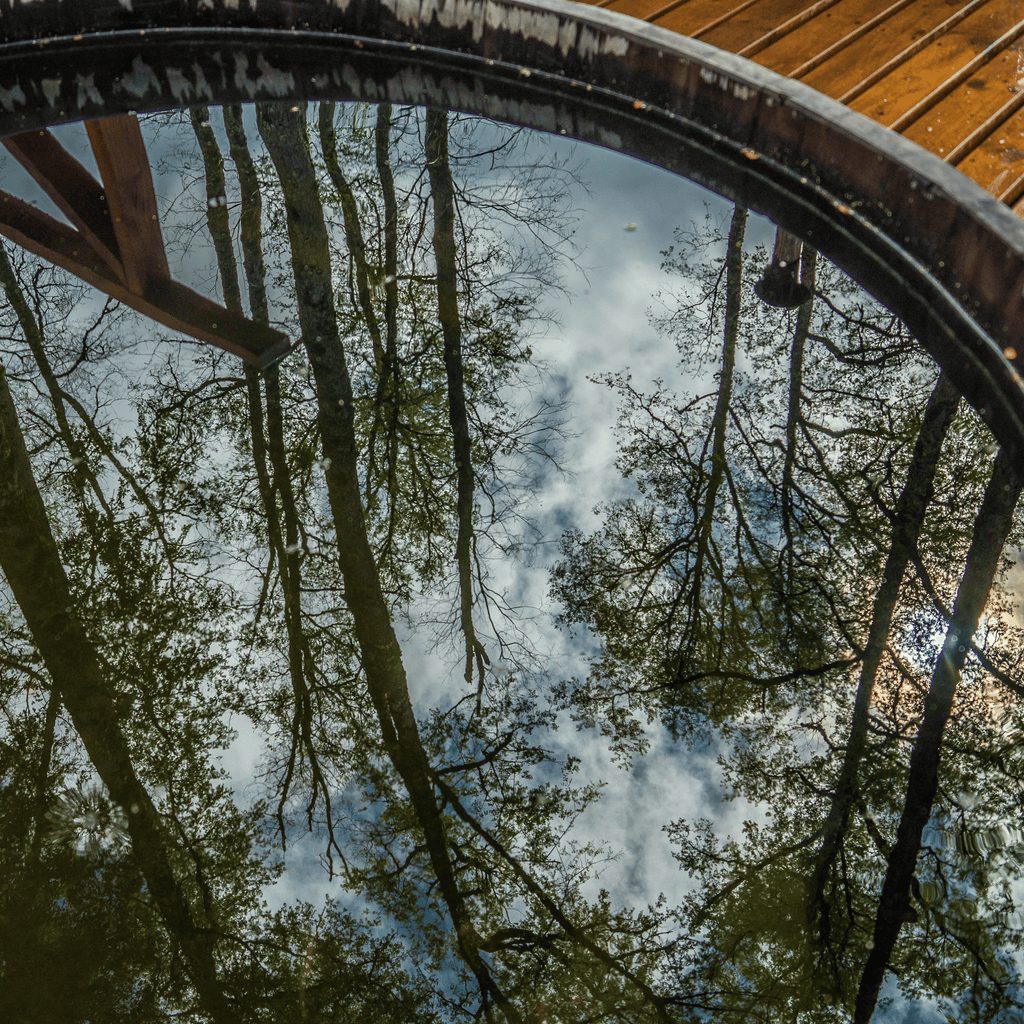 Excursión de Pesca - Puerto Octay