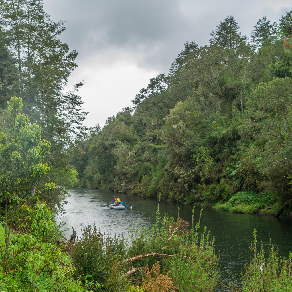 Kayak - Puerto Octay