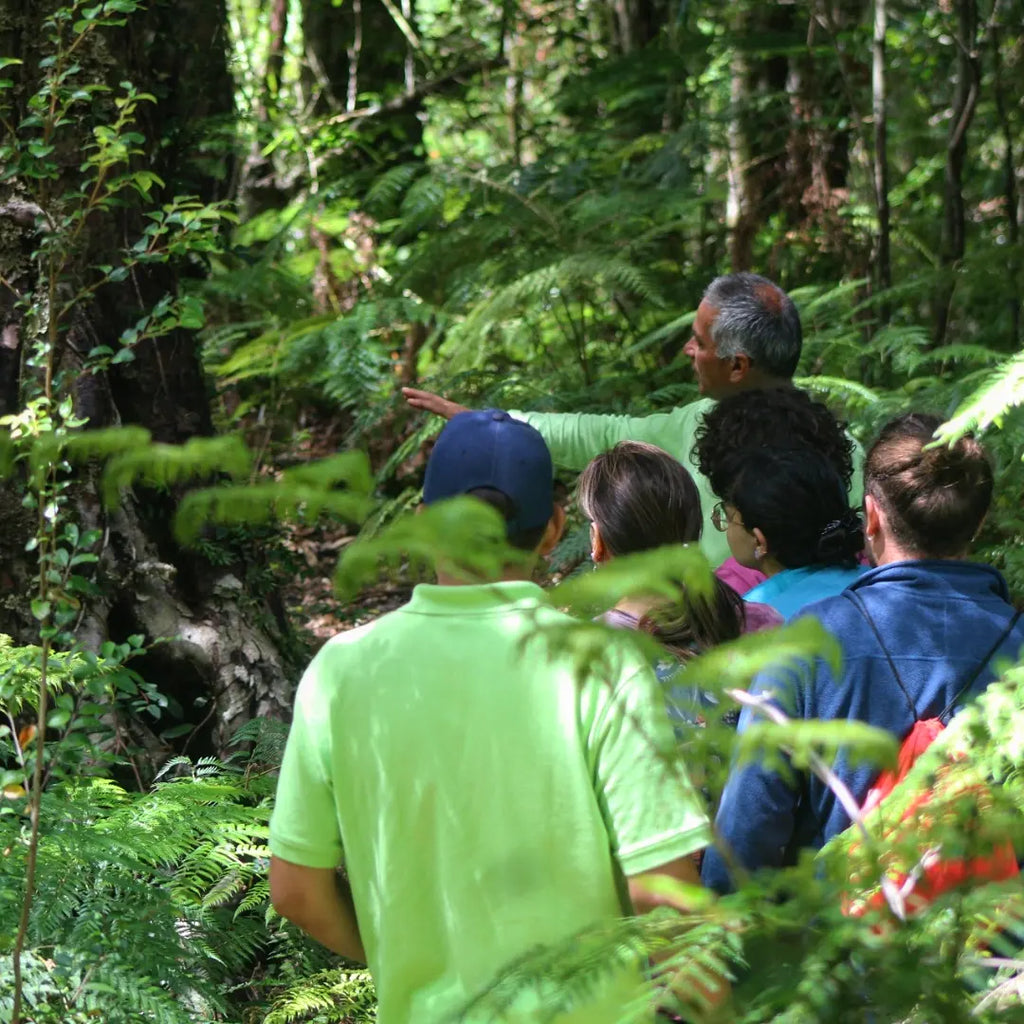 Full day Parque Linoico con tres actividades - Mínimo 2 personas