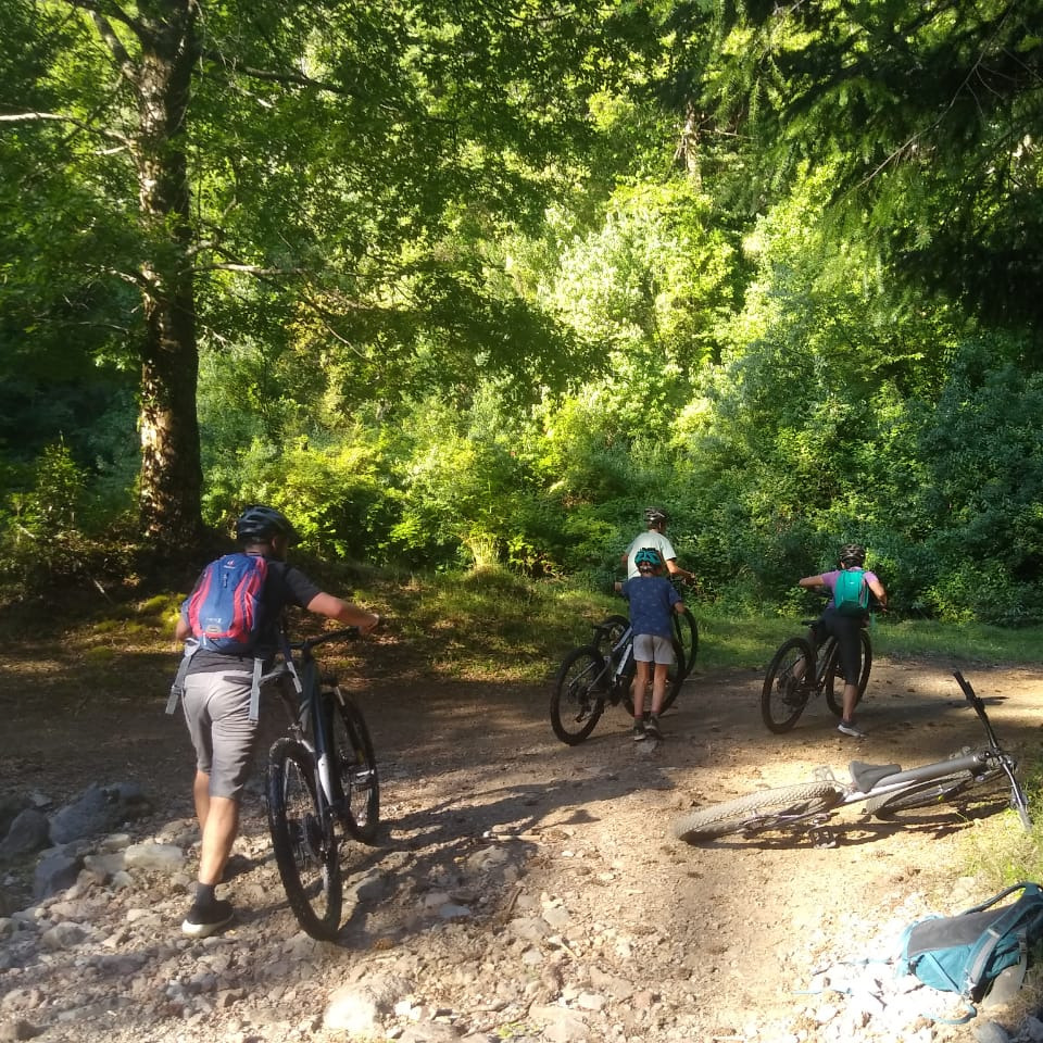 Tour de Mountain Bike - Mínimo 2 personas