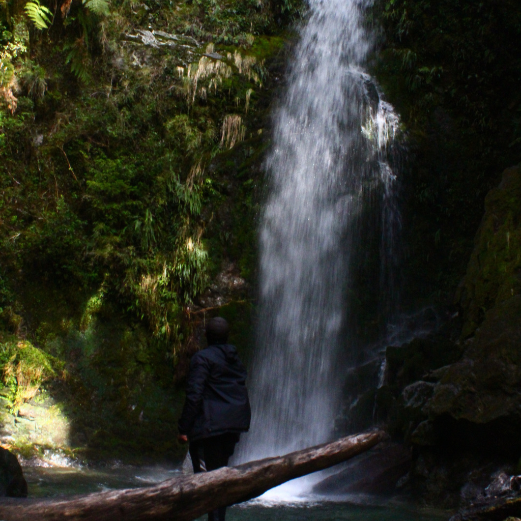 Full day Parque Linoico con tres actividades - Mínimo 2 personas