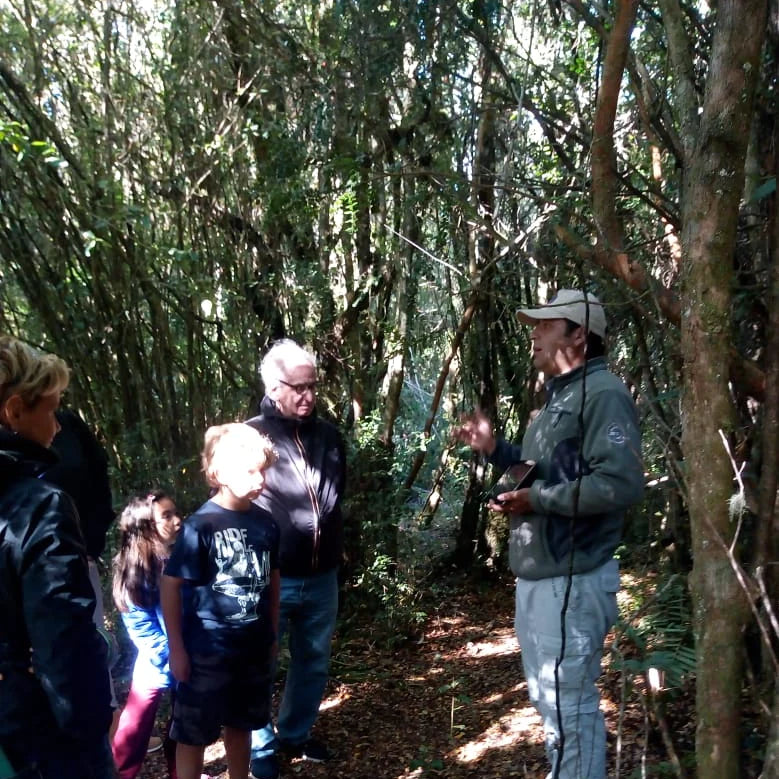 Navegación por el río Maullín - Minimo 6 personas
