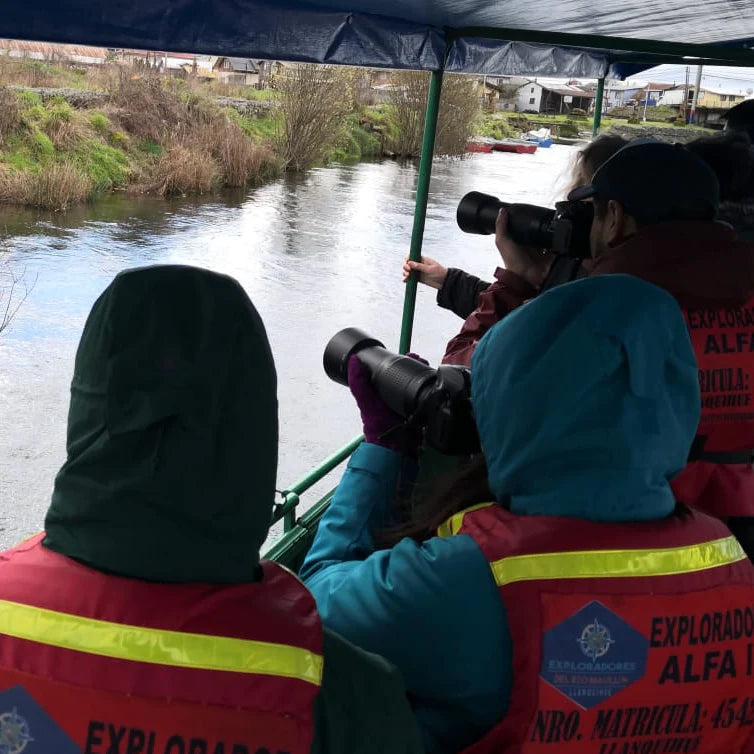 Navegación por el río Maullín - Minimo 6 personas