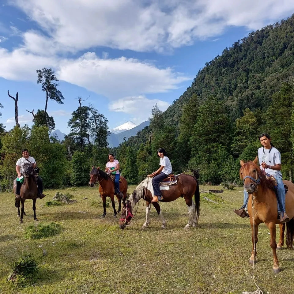 Full day Parque Linoico con tres actividades - Mínimo 2 personas