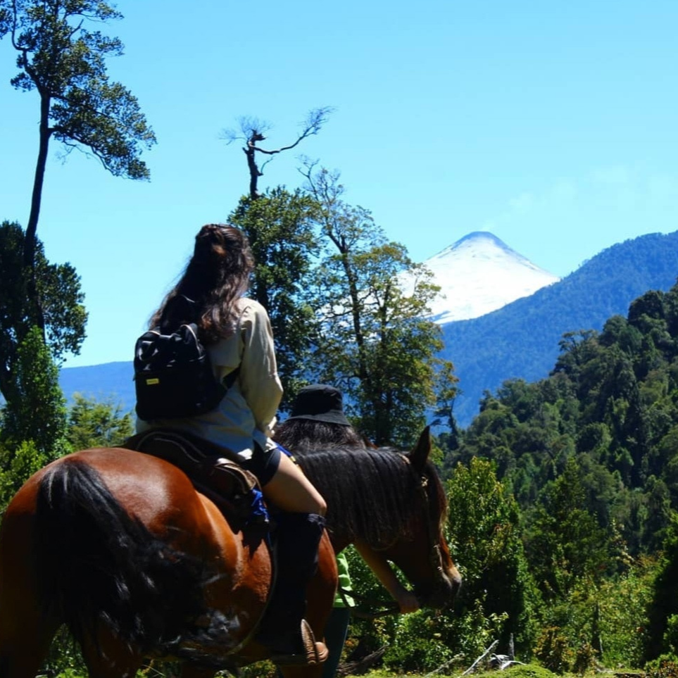 Full day Parque Linoico con tres actividades - Mínimo 2 personas