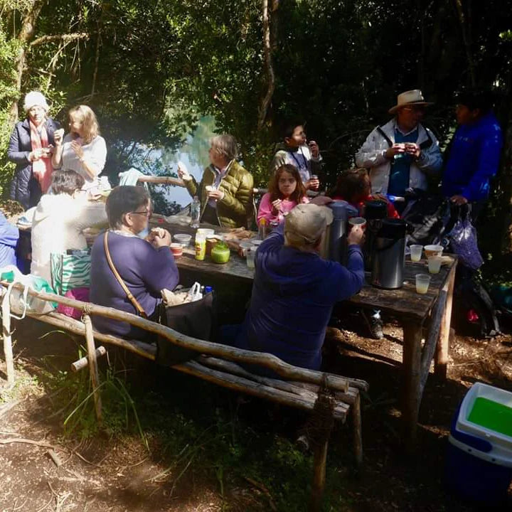 Navegación por el río Maullín - Minimo 6 personas