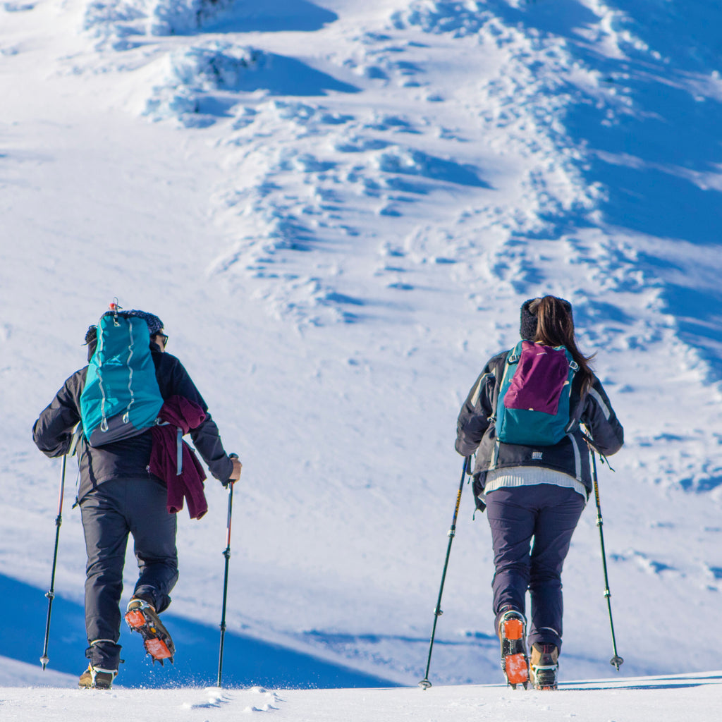 Trekking Invernal Mirador del Glaciar Volcán Osorno - Puerto Varas