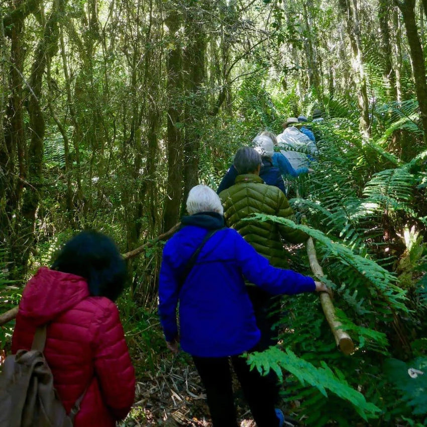 Navegación por el río Maullín - Minimo 6 personas