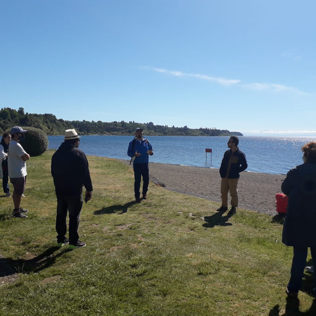 Guided cultural walk in Frutillar