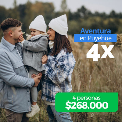 Adventure in Puyehue (weekend for family of 4 people)