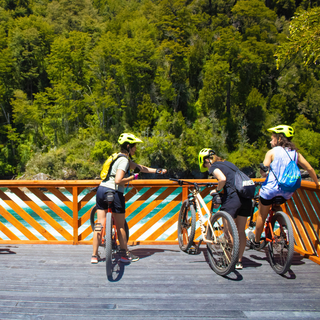 Bike Tour Petrohué - Puerto Varas