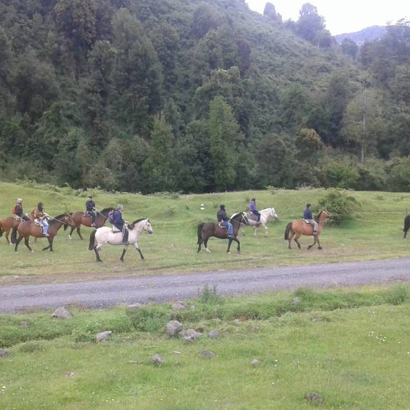 Cabalgata por el río Gol Gol - Puyehue