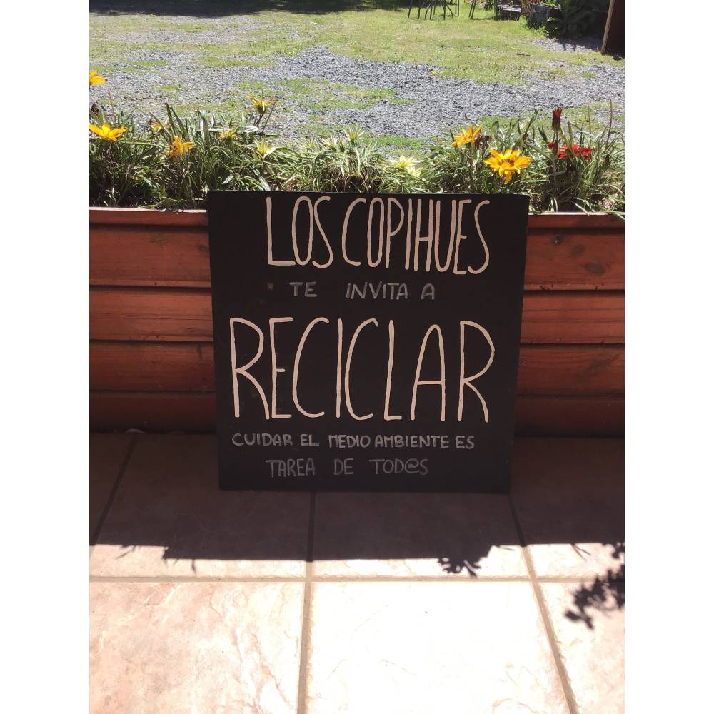 Cabañas Los Copihues - Puyehue