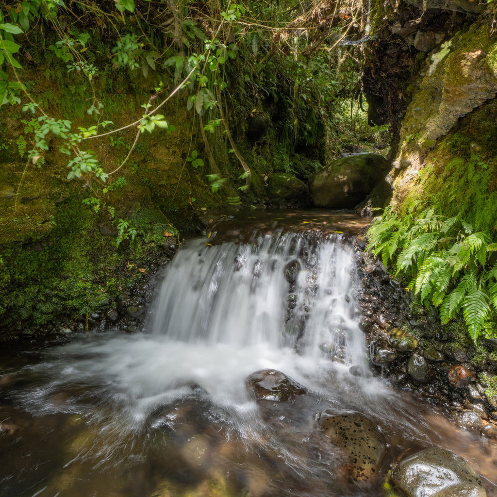 Entradas Parque La Isla Salto La Olla - Puyehue
