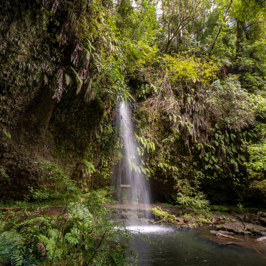 Entradas Parque La Isla Salto La Olla - Puyehue