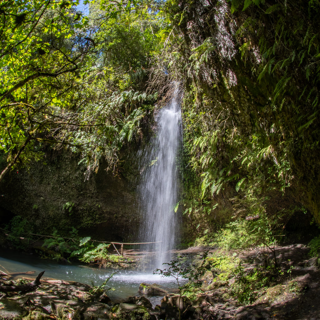 Entradas Parque La Isla Salto La Olla - Puyehue