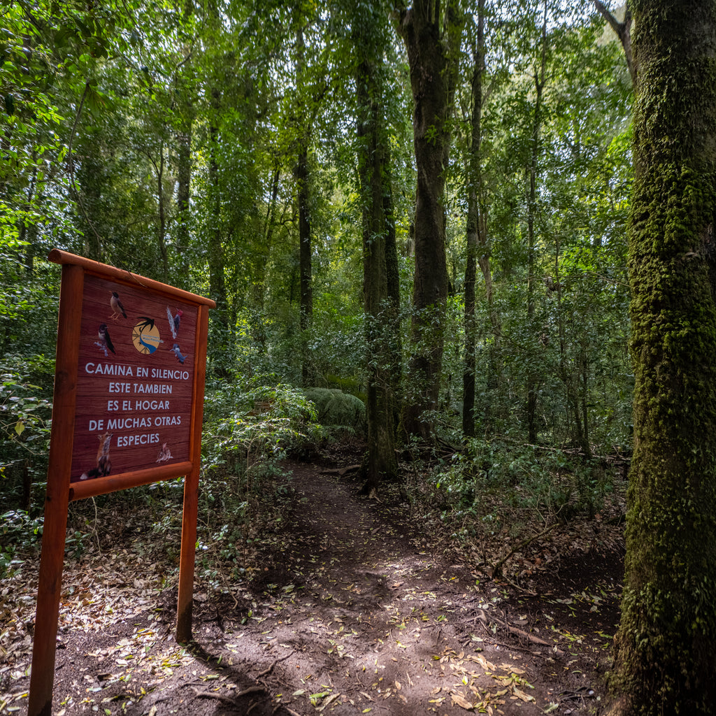 Entradas Parque La Isla Salto La Olla - Puyehue