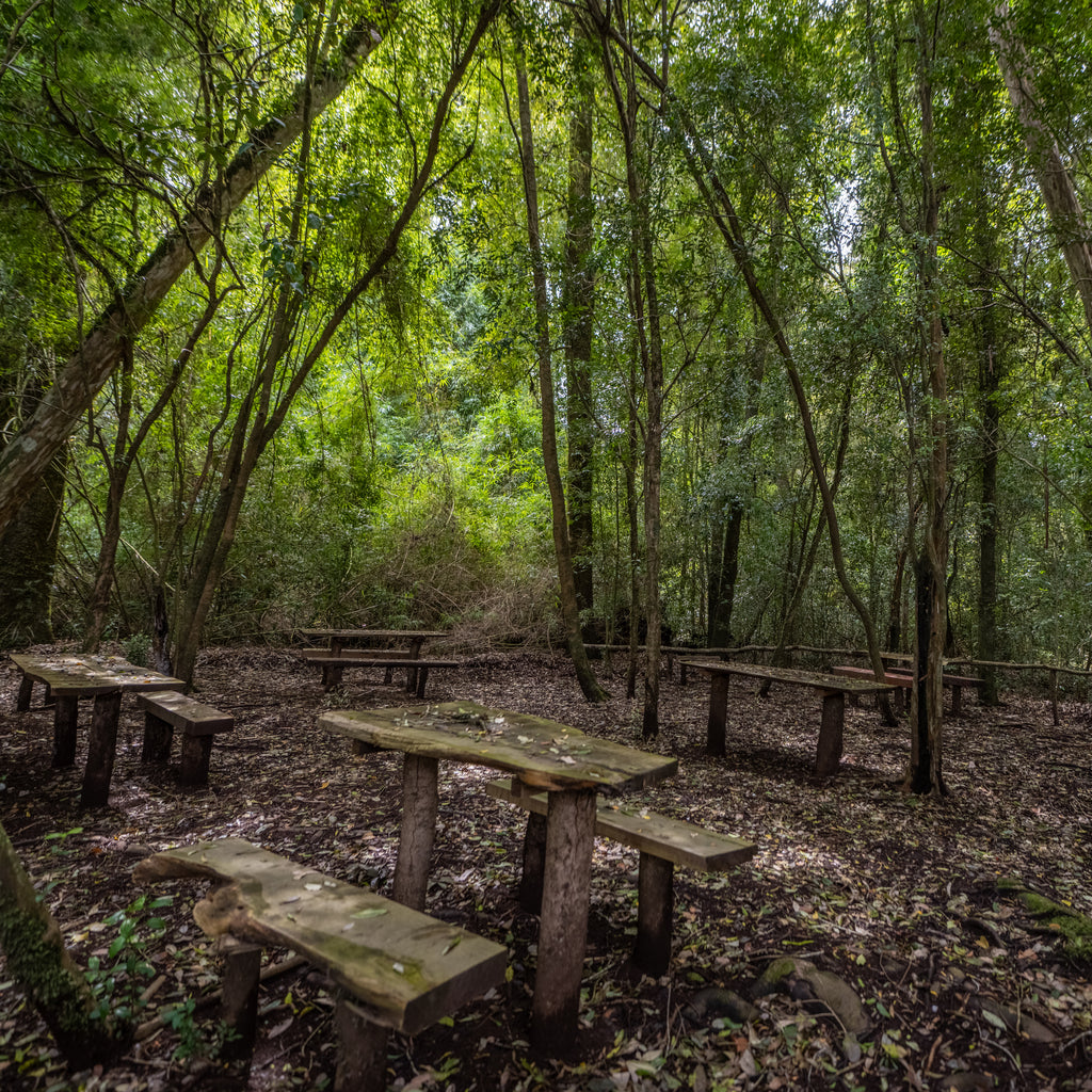 Entradas Parque La Isla Salto La Olla - Puyehue