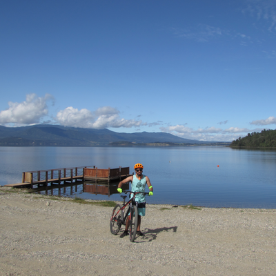 Bicycle rental in Panguipulli with Route 203