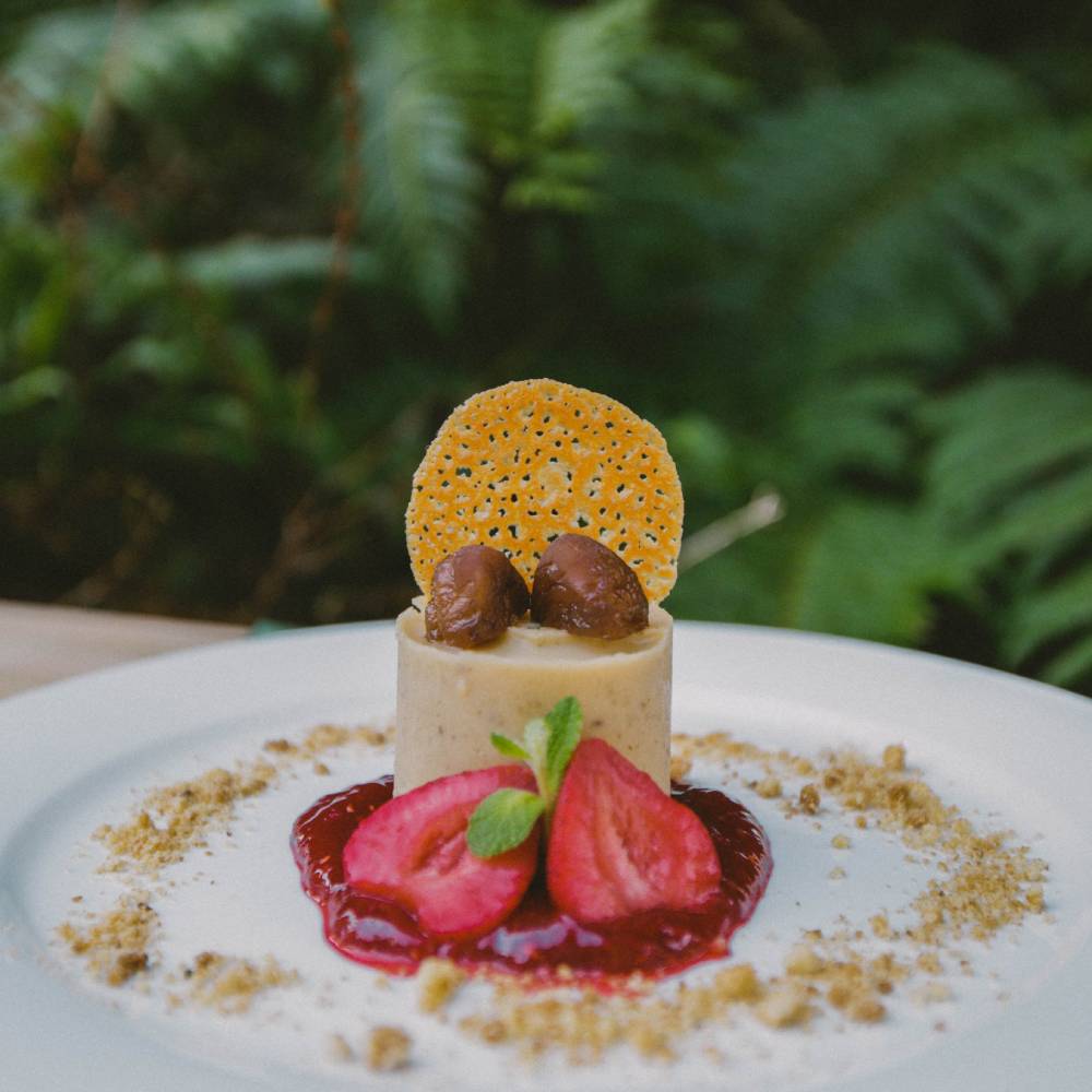 Cabaña Refugio Standard Tepa (4 personas) - Puyehue