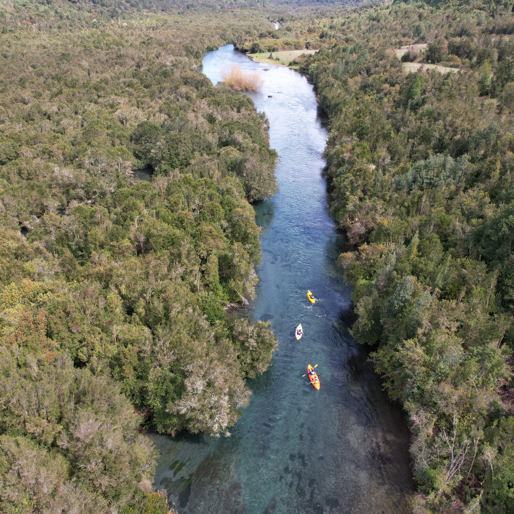 Kayak en bosque hundido del Río Maullín - Ruta origen del Maullín