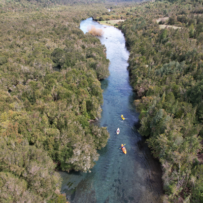 Kayak in the sunken forest of the Maullín River - Maullín Origin Route
