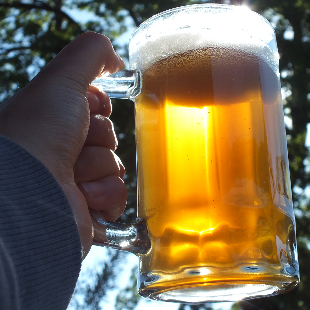 Tasting of craft beer with pairing at Truful brewery