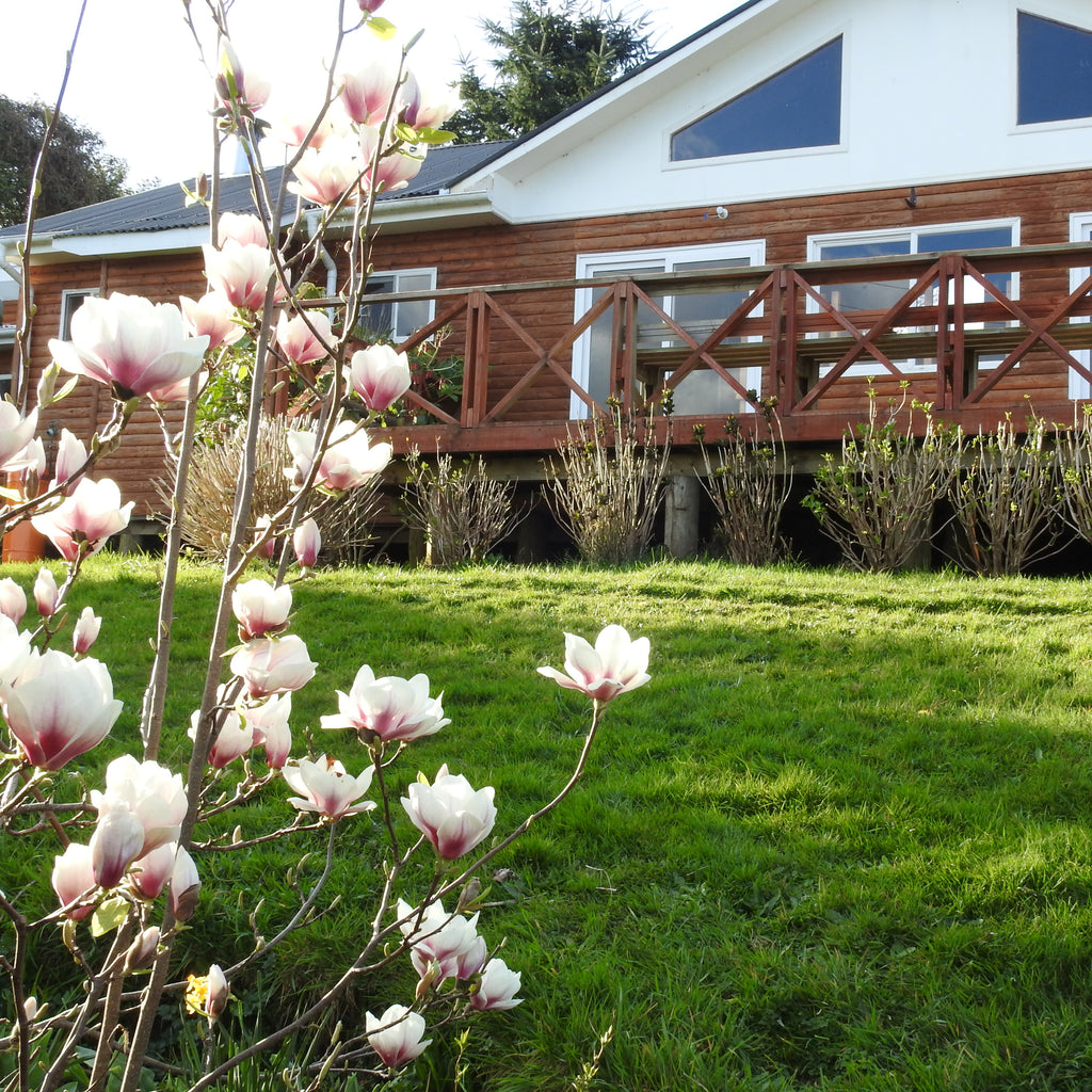 Quincho Tierra Sur - Puyehue