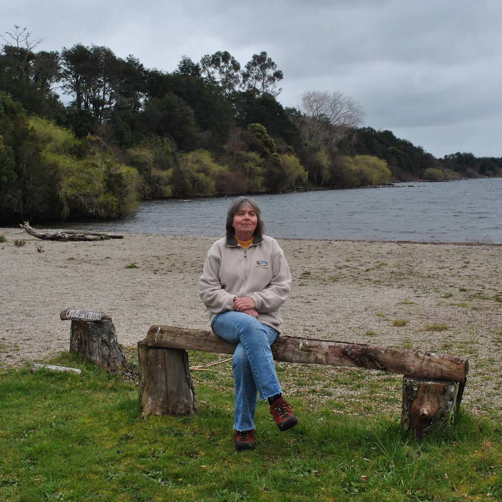 Cabañas Los Copihues - Puyehue