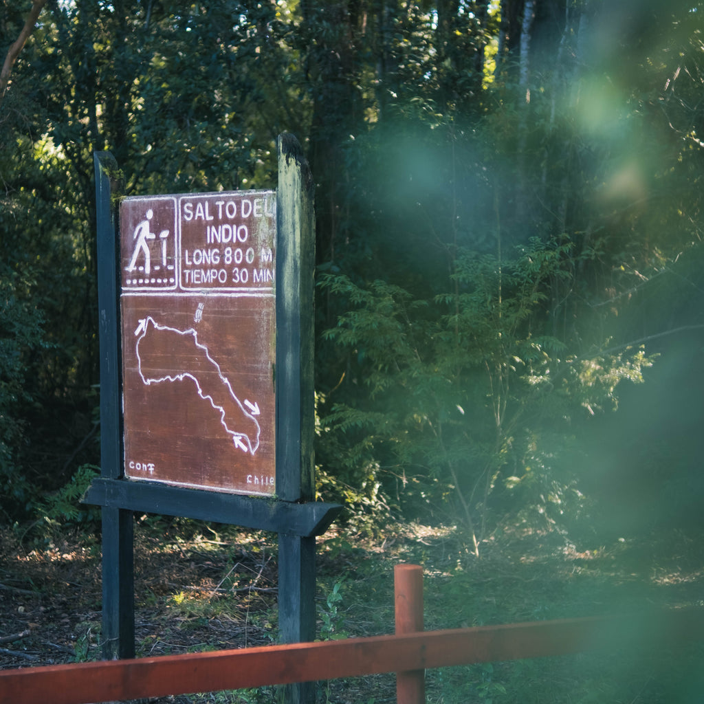 Disfruta la Selva Valdiviana en Puyehue por el día