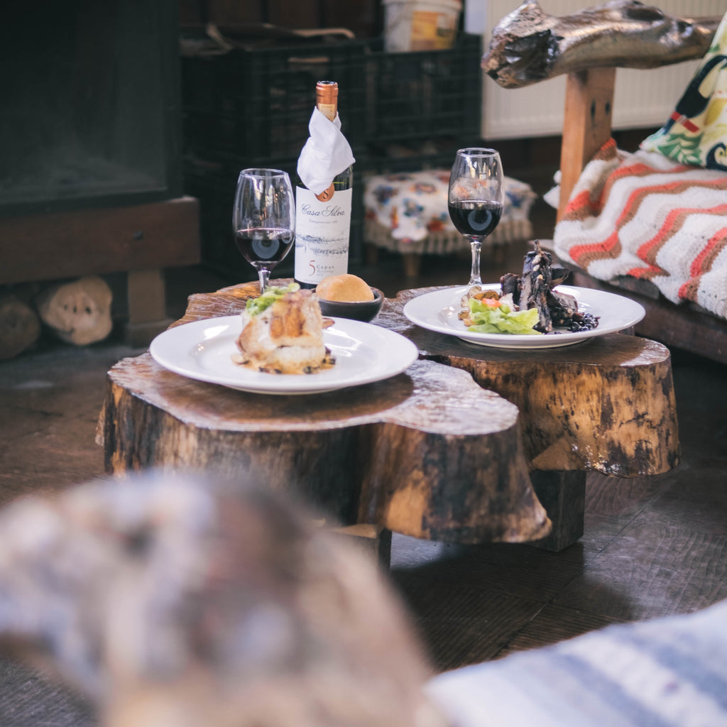 Disfruta la Selva Valdiviana en Puyehue por el día