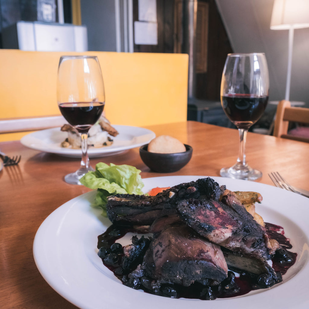 Disfruta la Selva Valdiviana en Puyehue por el día