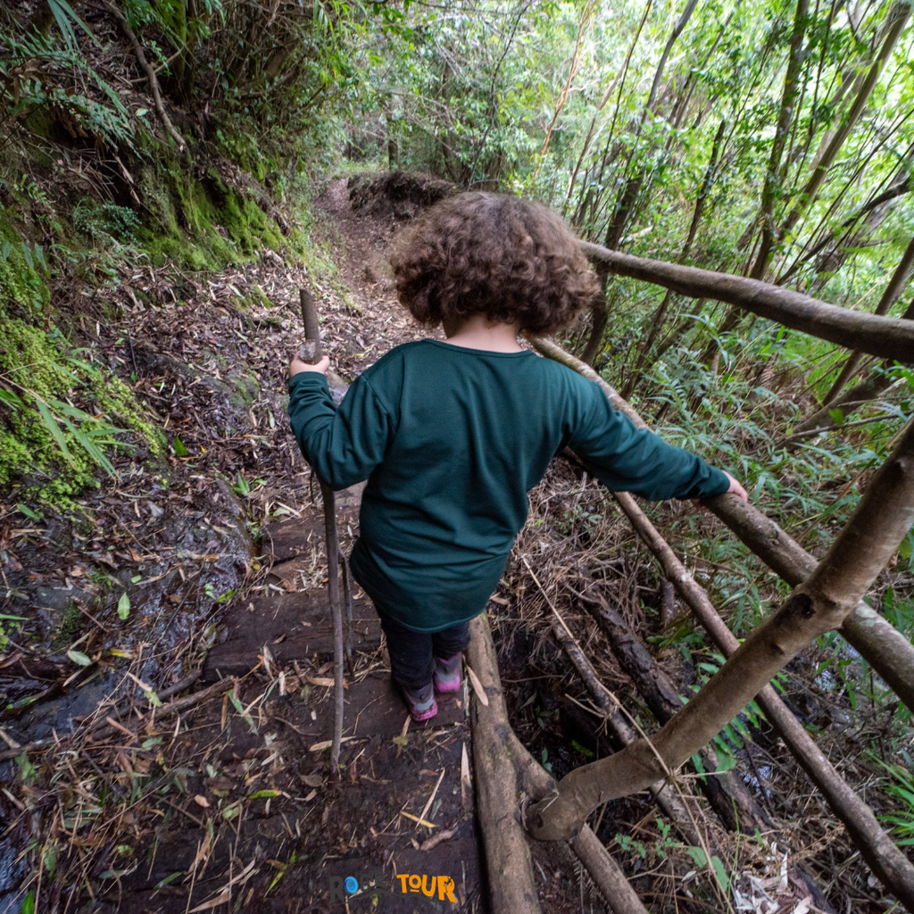 Ruta Piedra Disco - Mínimo 2 personas