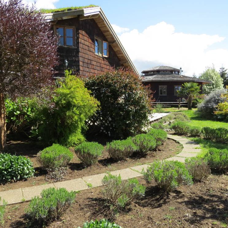 Family room - Yellow Shoe B&B, Puerto Octay