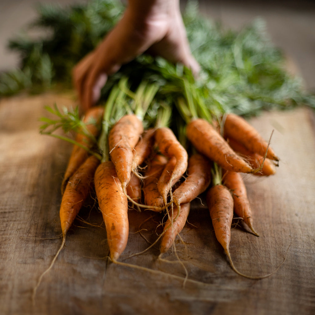 Restaurant Espantapájaros en Puerto Octay