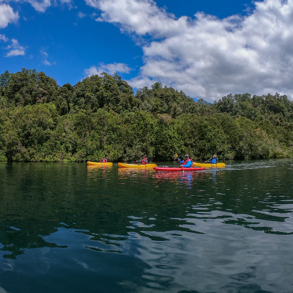 Kayak en bosque hundido del Río Maullín - Ruta origen del Maullín