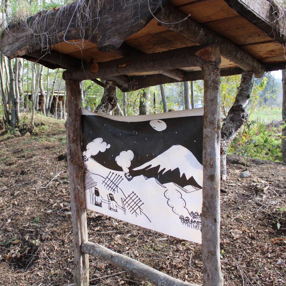 Guiado en Fortín Mapuche + cupón de consumo en Gastronomía Típica